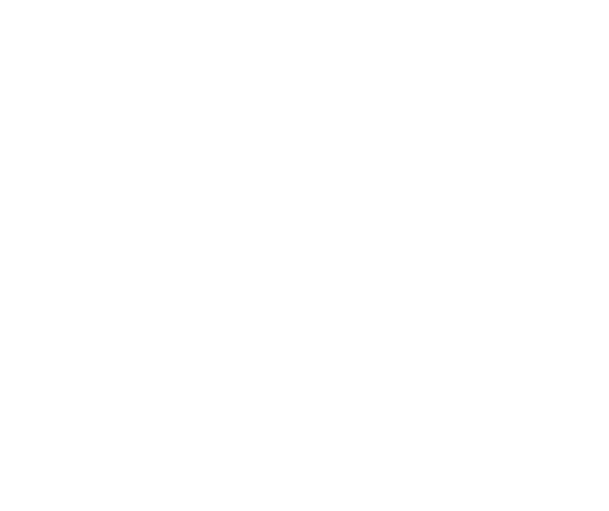 logo main